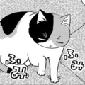 第5話 お気に入り自慢大会
